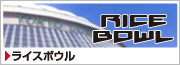 ライスボウル